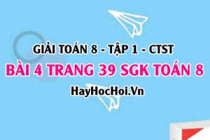 Giải bài 4 trang 39 Toán 8 Tập 1 SGK Chân trời sáng tạo